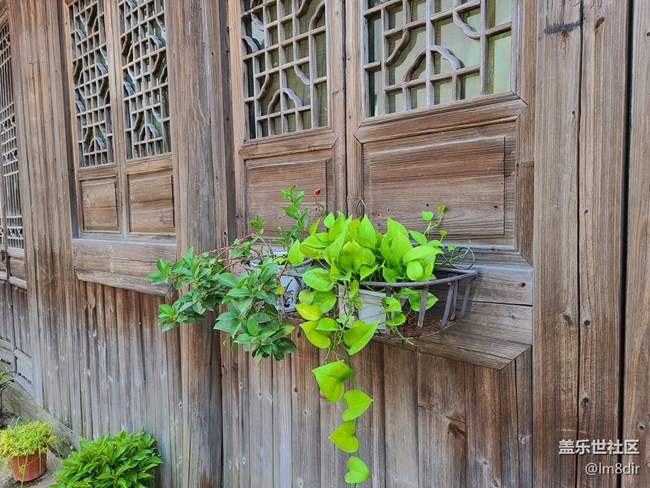 【Galaxy A71 5G評(píng)測(cè)活動(dòng)】三星 Galaxy A71 烏鎮(zhèn)隨拍