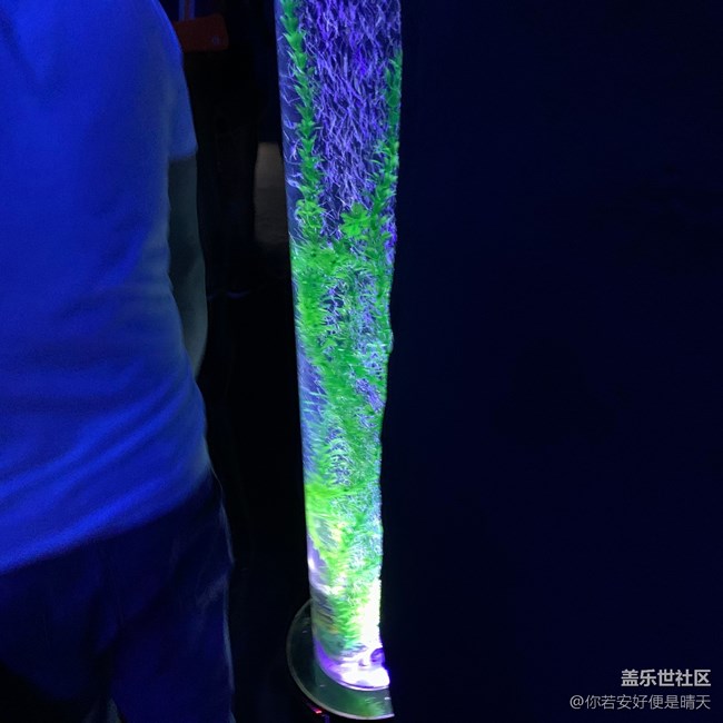 五周年紀(jì)念，再次出發(fā)