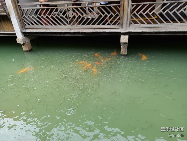 【Galaxy A71 5G評(píng)測(cè)活動(dòng)】三星 Galaxy A71 烏鎮(zhèn)隨拍