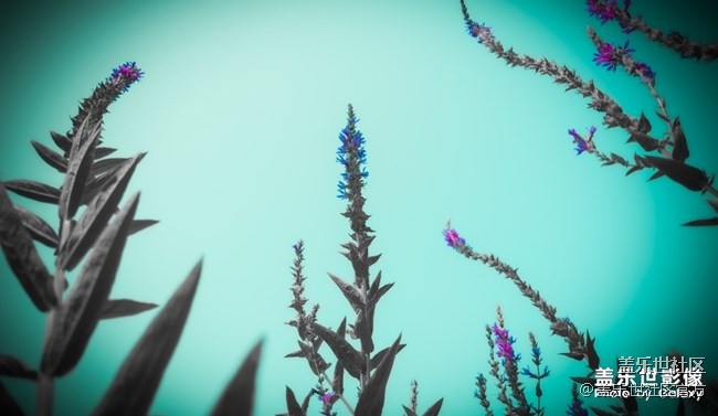 《每周星鮮事》第37期：Galaxy Note20系列新品預(yù)約開(kāi)啟