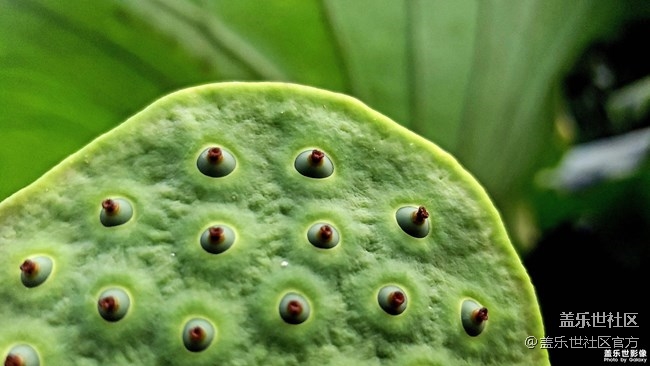 《每周星鮮事》第37期：Galaxy Note20系列新品預(yù)約開(kāi)啟