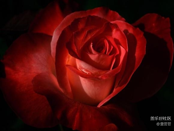 【美食版塊七夕特別活動】- 紅的甜蜜！