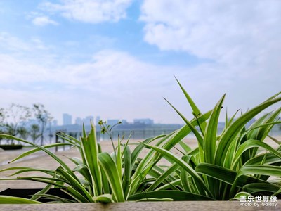 雨過(guò)天晴