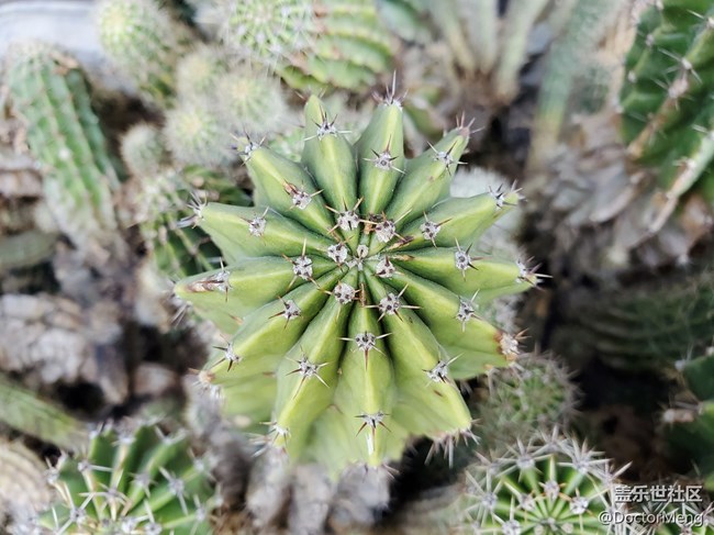 【Galaxy A71 5G評(píng)測(cè)活動(dòng)】Note20親弟弟就是你？