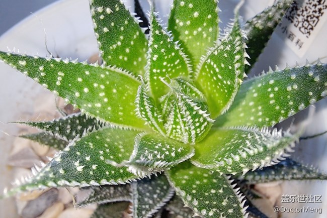 【Galaxy A71 5G評(píng)測(cè)活動(dòng)】Note20親弟弟就是你？