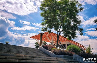 【初秋印象】+艷陽(yáng)綠意襯藍(lán)天