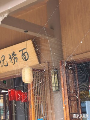 閑逛