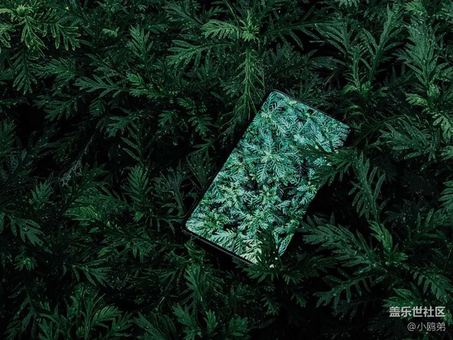 【Galaxy A71 5G評測活動】