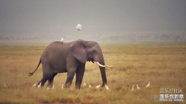 《每周星鮮事》第38期：星鮮創(chuàng)造營(yíng)第三期開(kāi)營(yíng) 期待你的加入