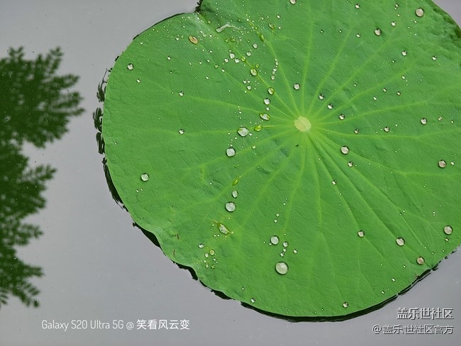 《每周星鮮事》第38期：星鮮創(chuàng)造營(yíng)第三期開(kāi)營(yíng) 期待你的加入