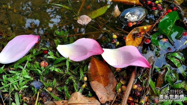 《每周星鮮事》第38期：星鮮創(chuàng)造營(yíng)第三期開(kāi)營(yíng) 期待你的加入