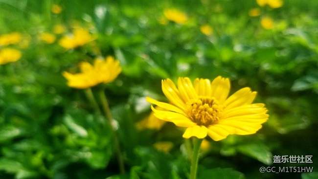 3年用后感 ——【三星S8-G9500】