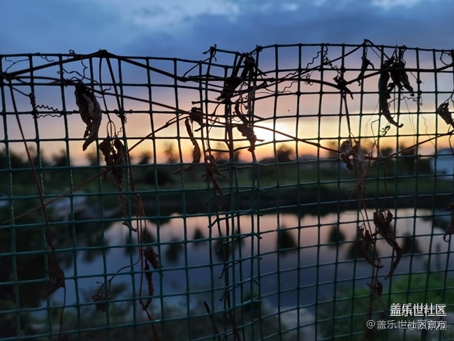 《每周星鮮事》第38期：星鮮創(chuàng)造營(yíng)第三期開(kāi)營(yíng) 期待你的加入