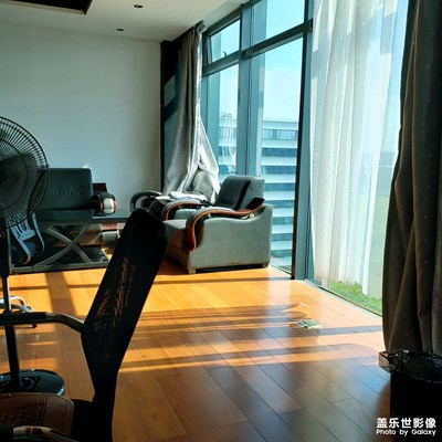 八月隨手拍