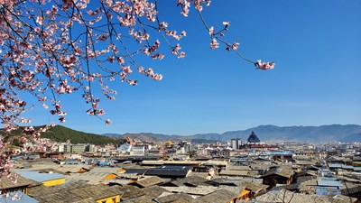 三星S10+在香格里拉（第十九期）