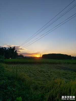 夕陽無限好