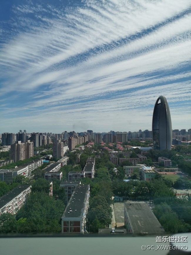 【我的七夕生活】+公園隨拍