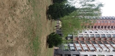 【發(fā)現(xiàn)生活發(fā)現(xiàn)美】擁有