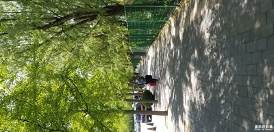 【發(fā)現(xiàn)生活發(fā)現(xiàn)美】-隨手拍