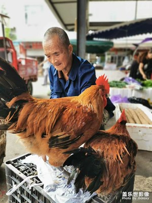不更新
