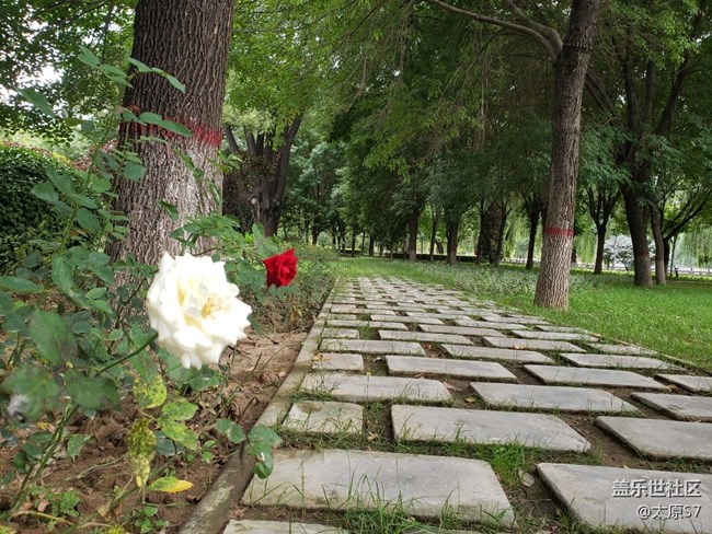 相機(jī)還得努力