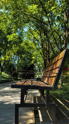 身邊小景+濕地公園