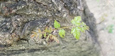 【發(fā)現(xiàn)生活發(fā)現(xiàn)美】-點(diǎn)點(diǎn)滴滴