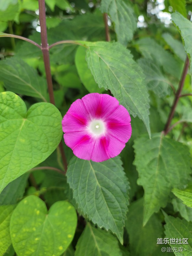 【三星Note20 Ultra評測】因為NOTE，所以NOTE！