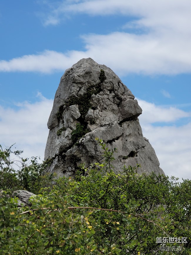 【三星Note20 Ultra評測】因為NOTE，所以NOTE！