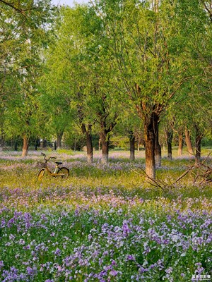 【身邊小景】+日常隨拍