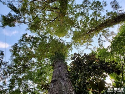 公園一瞥吧