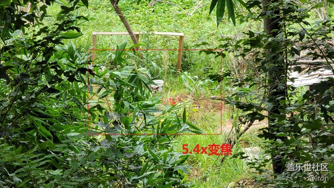 Note20 U相機(jī)對焦問題