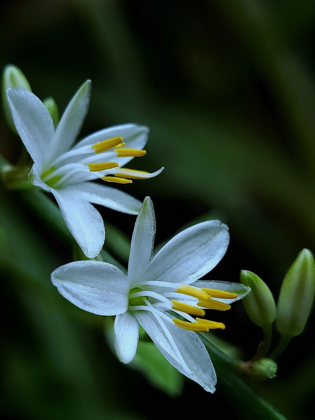 《每周星鮮事》第40期：Galaxy新品發(fā)布會 敬請期待