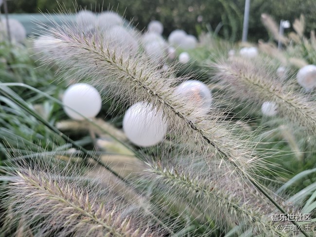 開合之間探索無限可能性 三星Galaxy Z Fold2 5G評測 開合之間探索無限可能性 三星Galaxy Z Fold2 5G評測