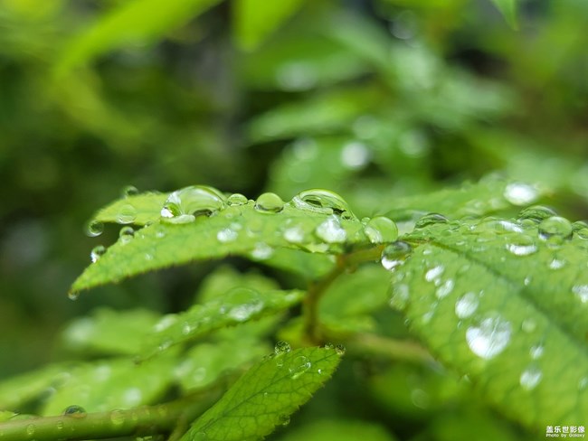 《每周星鮮事》第40期：Galaxy新品發(fā)布會 敬請期待