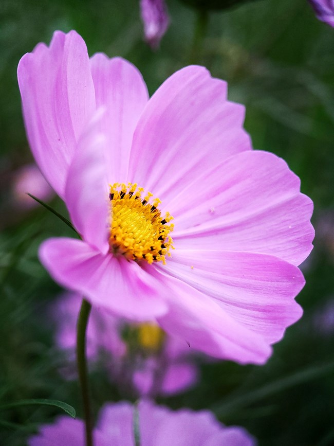 《每周星鮮事》第40期：Galaxy新品發(fā)布會 敬請期待