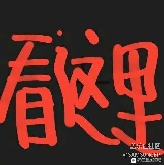 ●?求一個S20（2.5）能用的谷歌相機