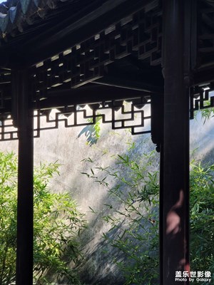 留·園·晨·光