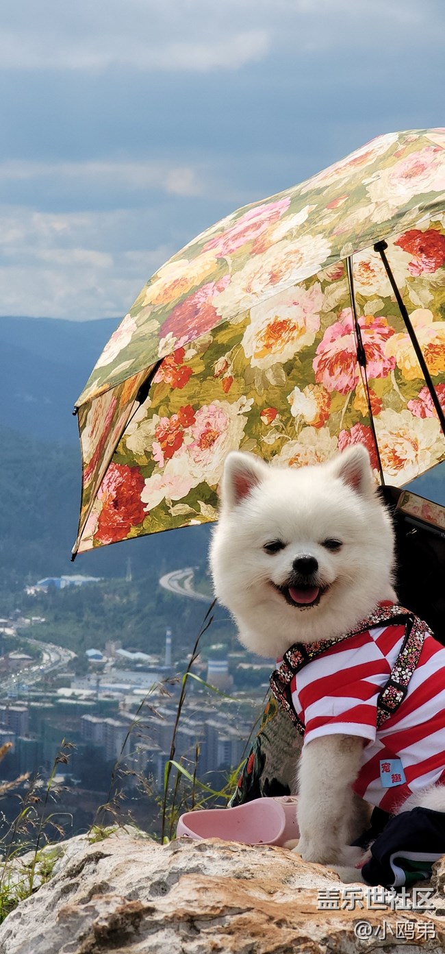 【三星Note20U上手簡單評測】