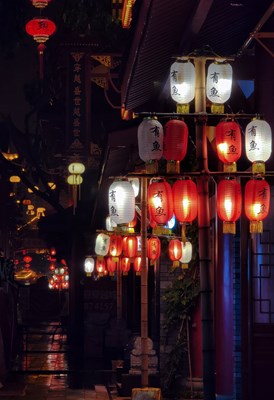 眉山也能看見長安花