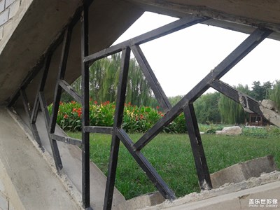 【我的腳步】+公園漫步