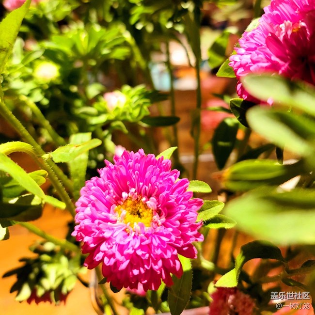 Note 20 Ultra：和喜歡的一切在一起