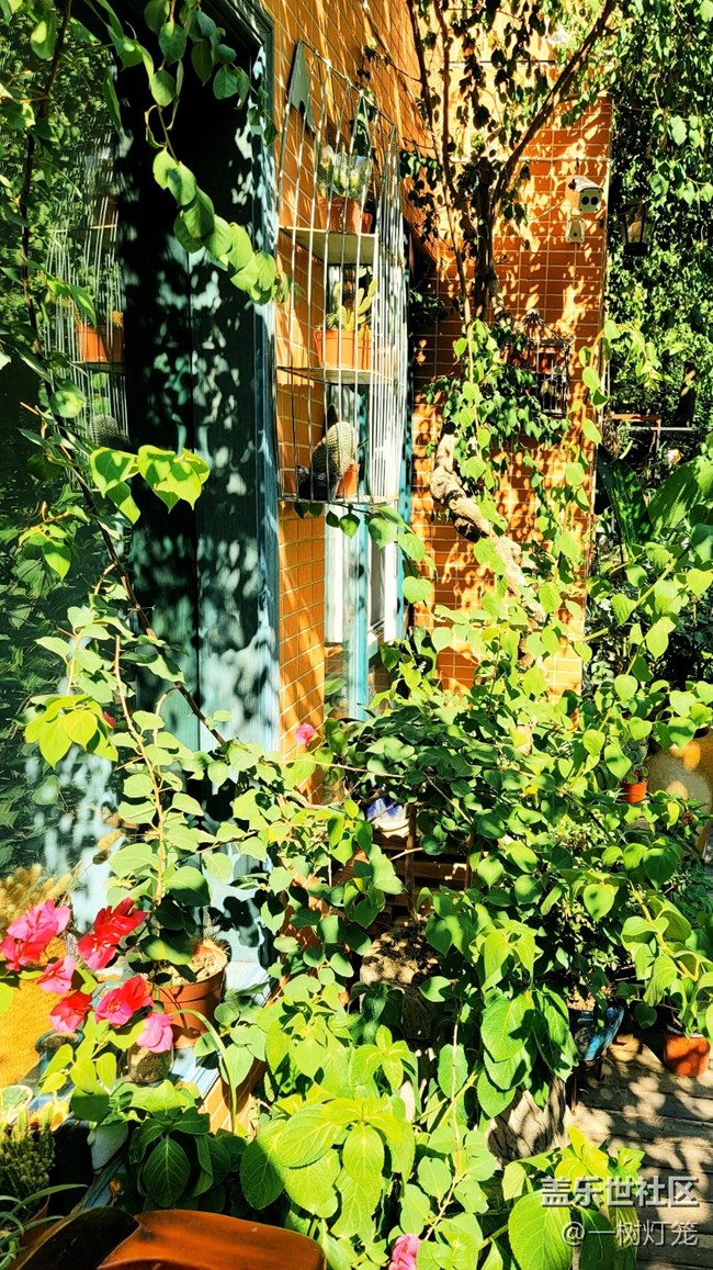 Note 20 Ultra：和喜歡的一切在一起