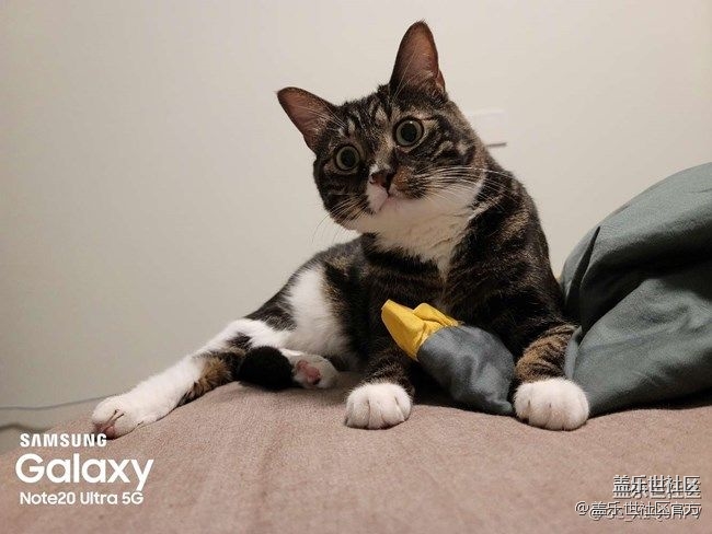 《每周星鮮事》第40期：Galaxy新品發(fā)布會 敬請期待