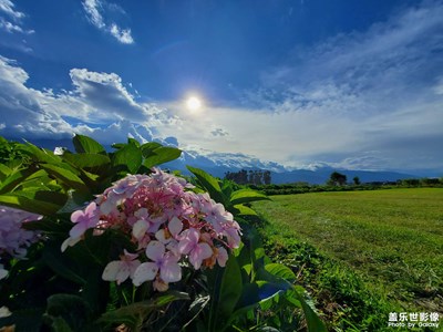 note10隨拍