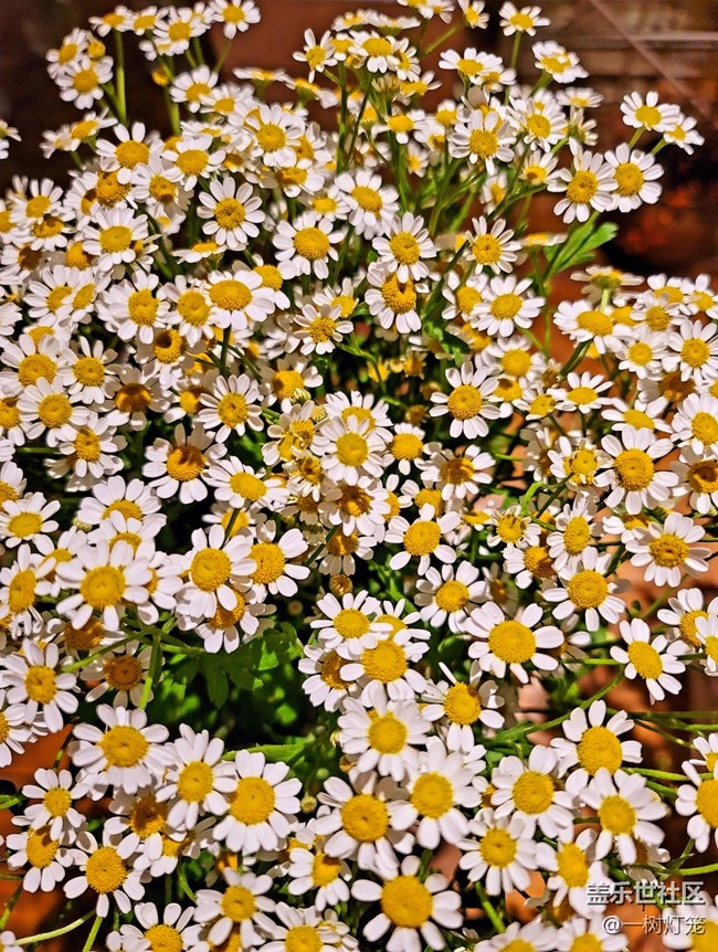 Note 20 Ultra：和喜歡的一切在一起