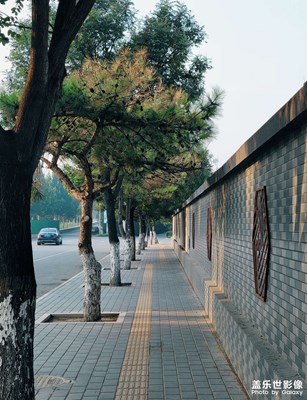 【我的腳步】路過的風(fēng)景