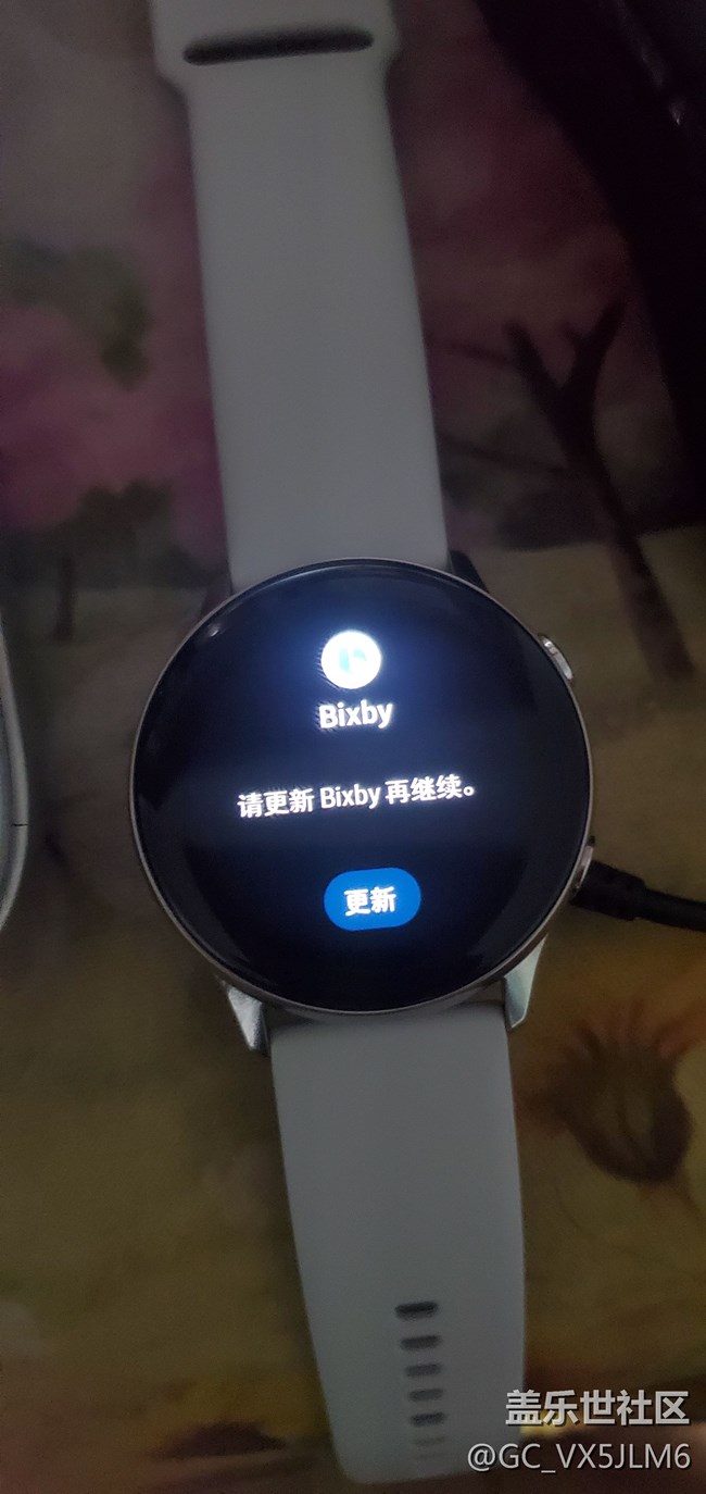 智能手錶打開bixby顯示網(wǎng)絡(luò)問題解決辦法