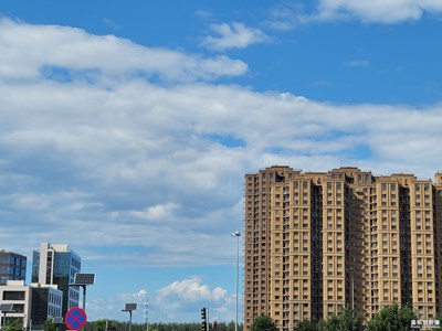 【我的腳步】+靜心感受