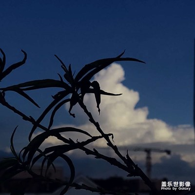 暗調(diào)style